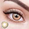 Chestnut Aura Brown | 1 Year