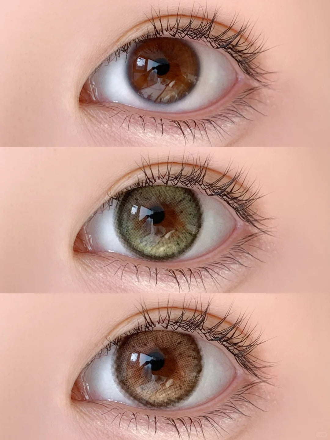 Seattle Green | 1 Year