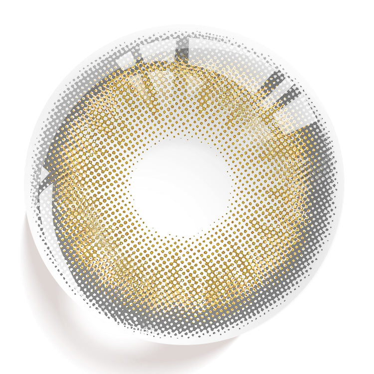 نيويورك جراي | سنة واحدة