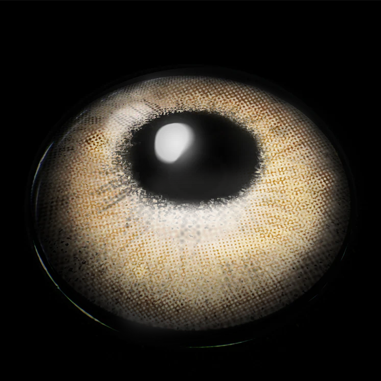 Seattle Brown | 1 Year