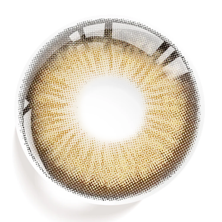 Seattle Brown | 1 Year