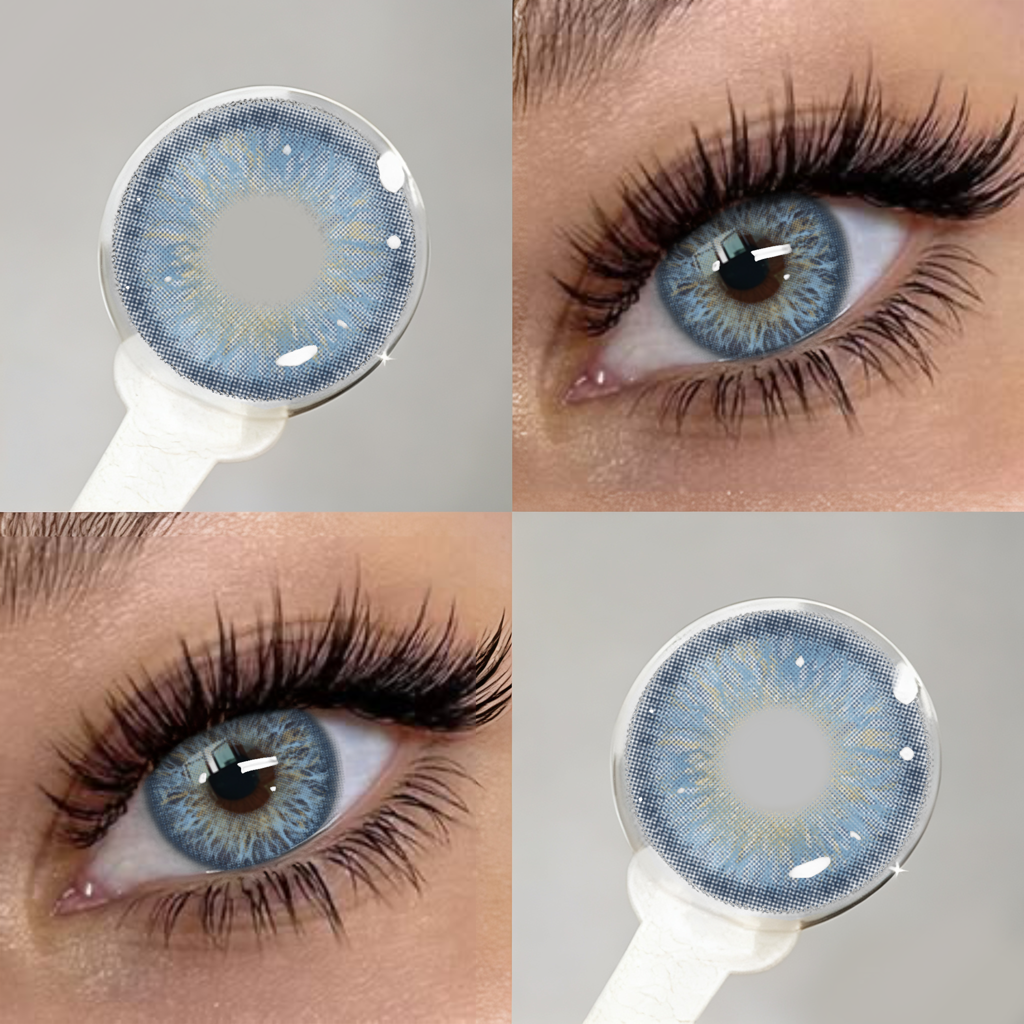 Sheen Blue | 6 Months