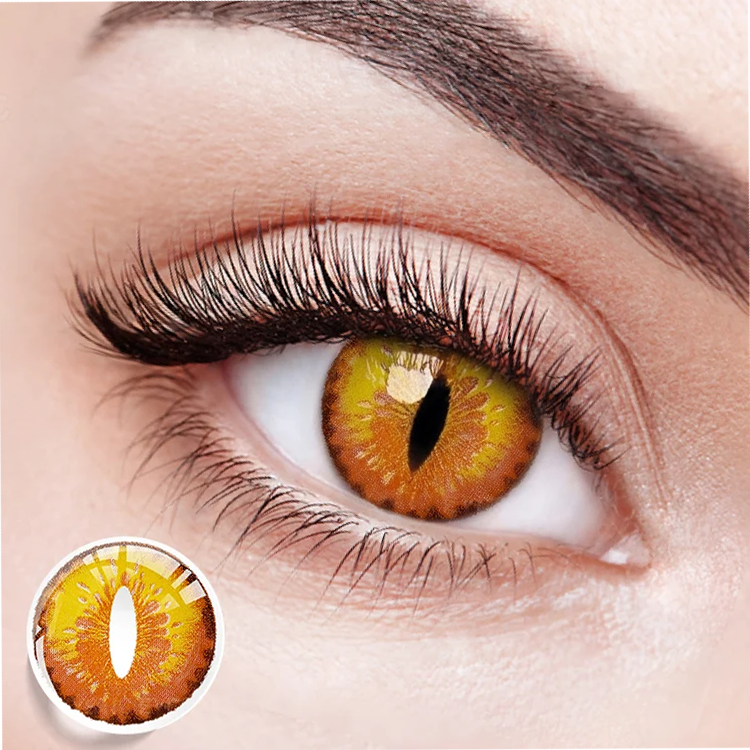 Golden Ruby Cat's Eye | 6 Months