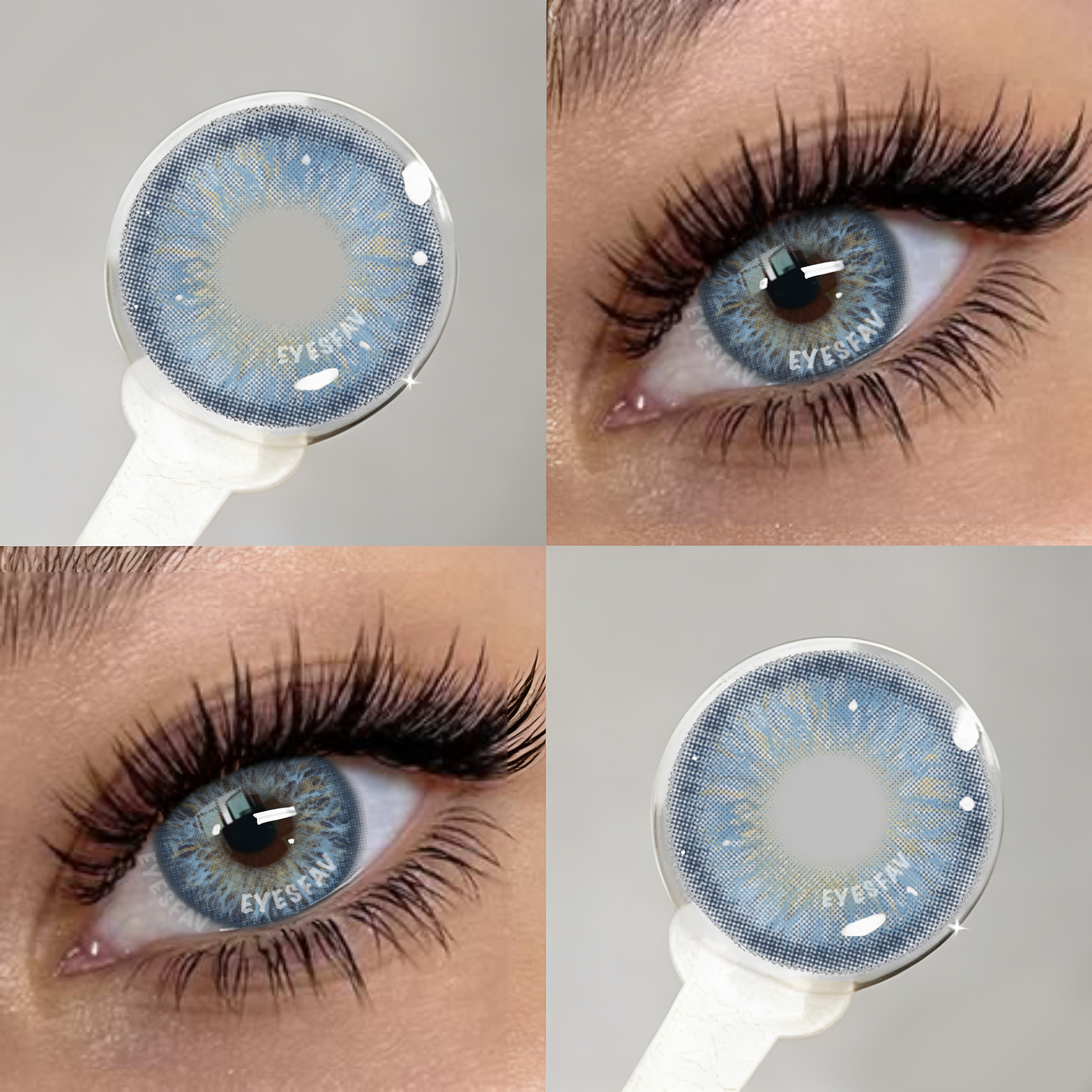 Sheen Blue | 6 Months