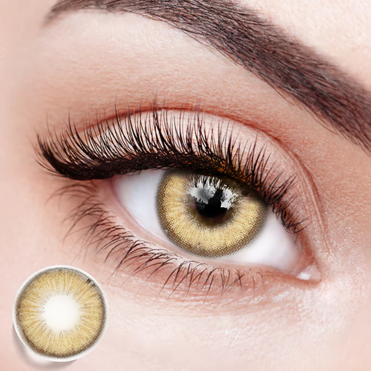 Seattle Brown | 1 Year