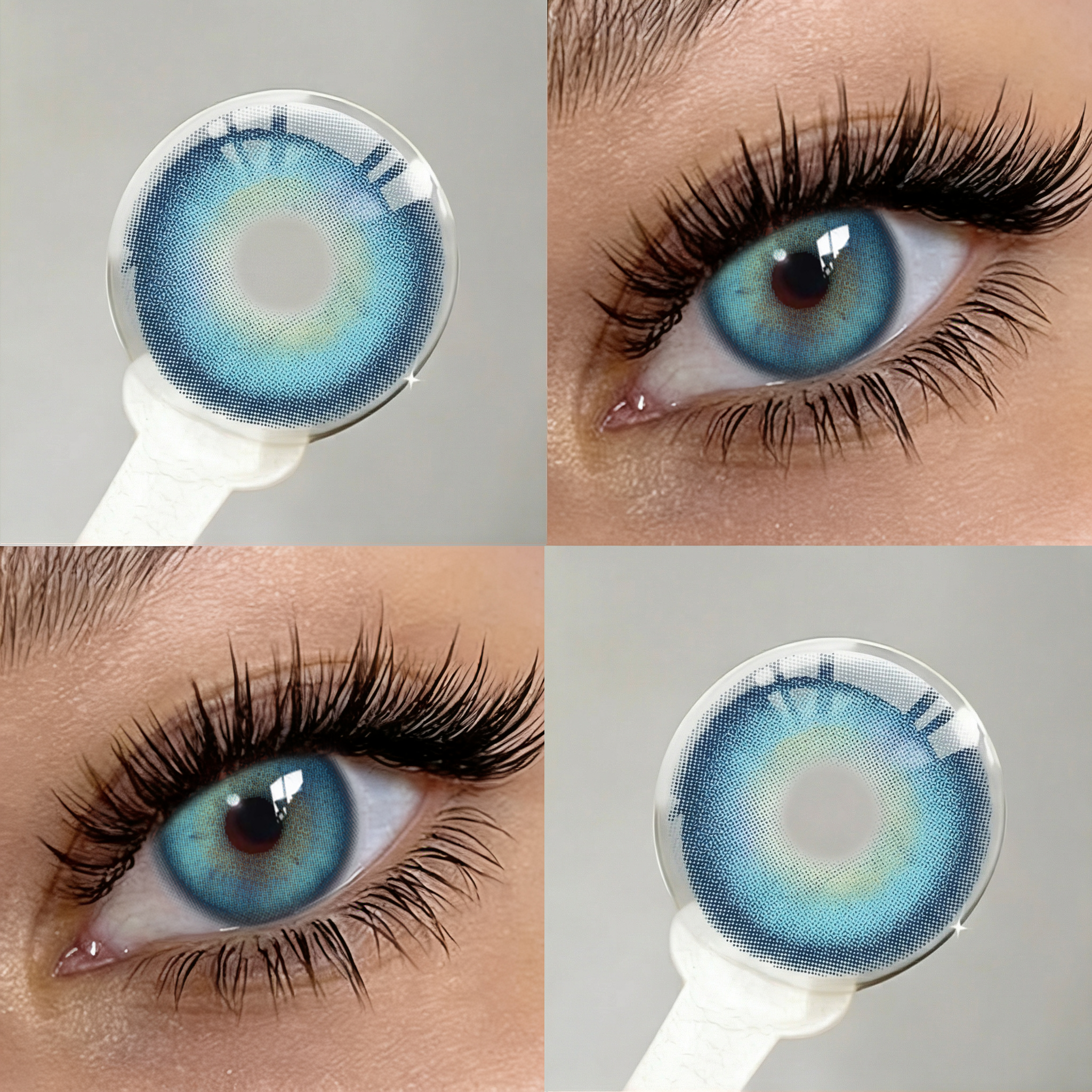 Aloe Blue | 6 Months