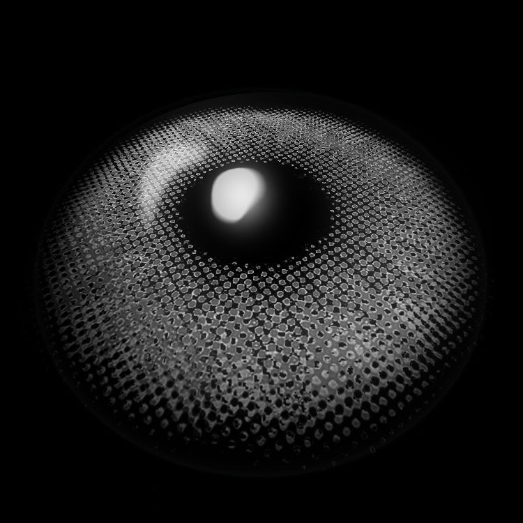 Seattle Gray | 1 Year