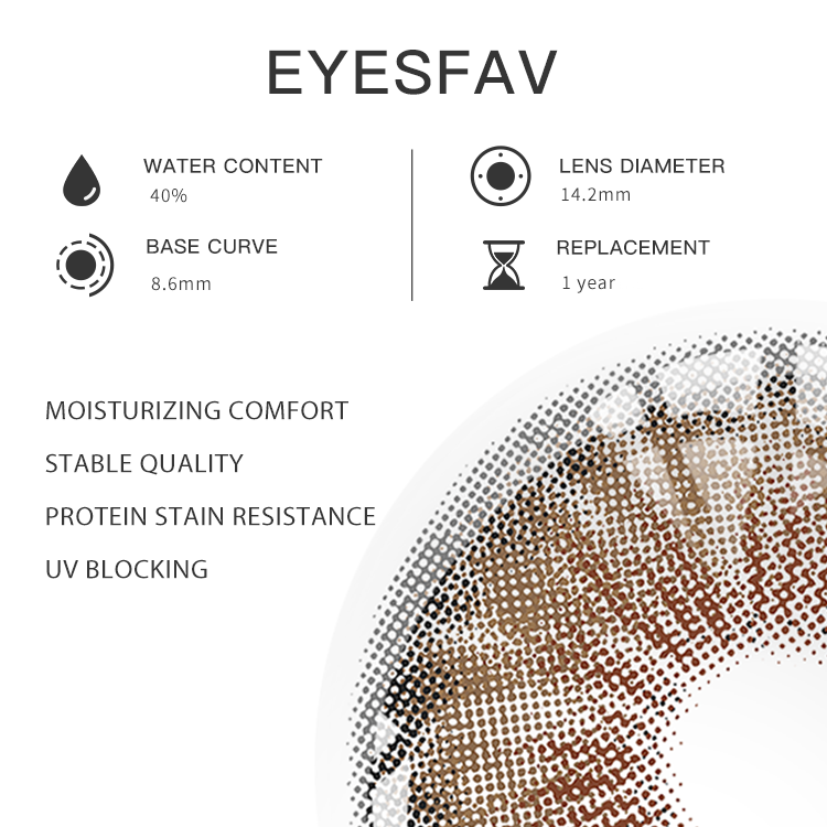 Dolphin Hazel | 1 Year