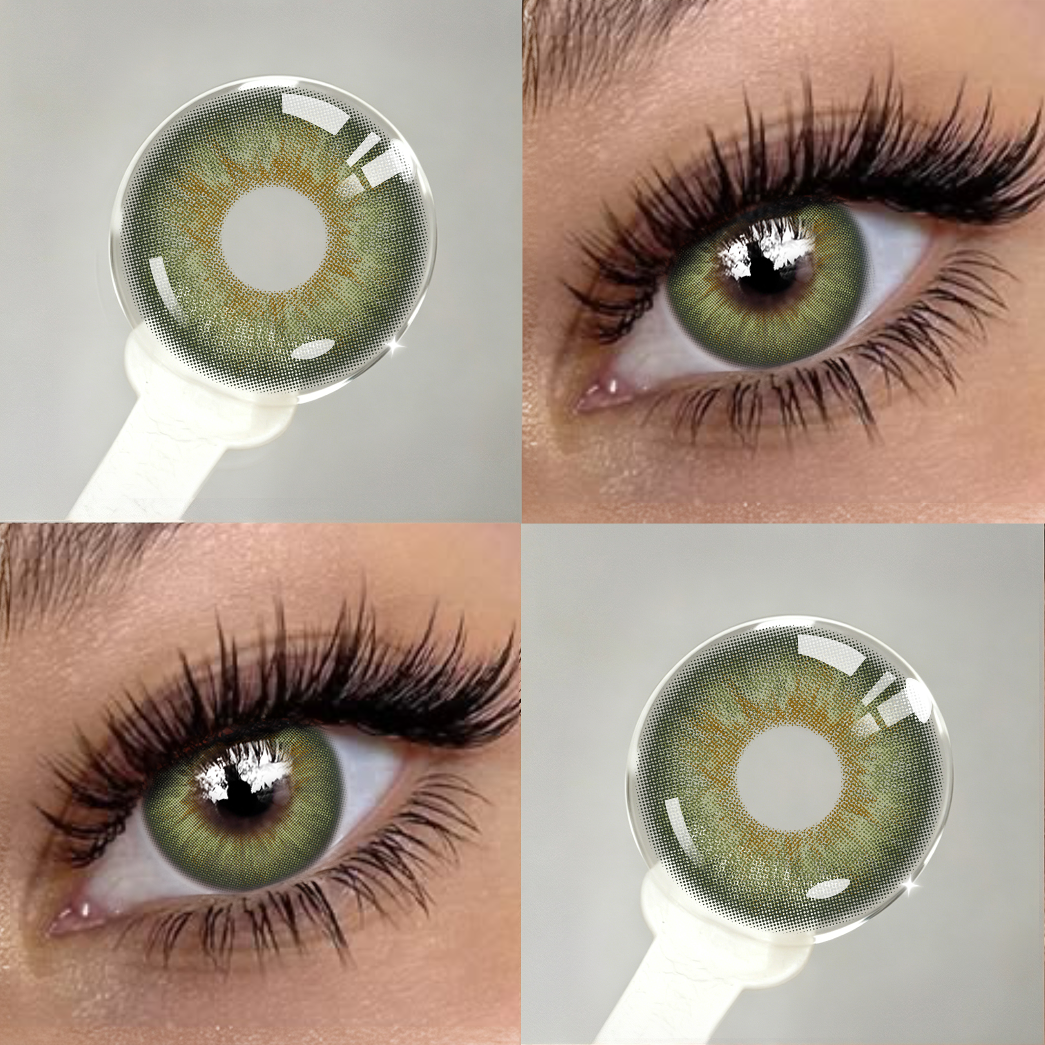 Aurora Green | 1 Year