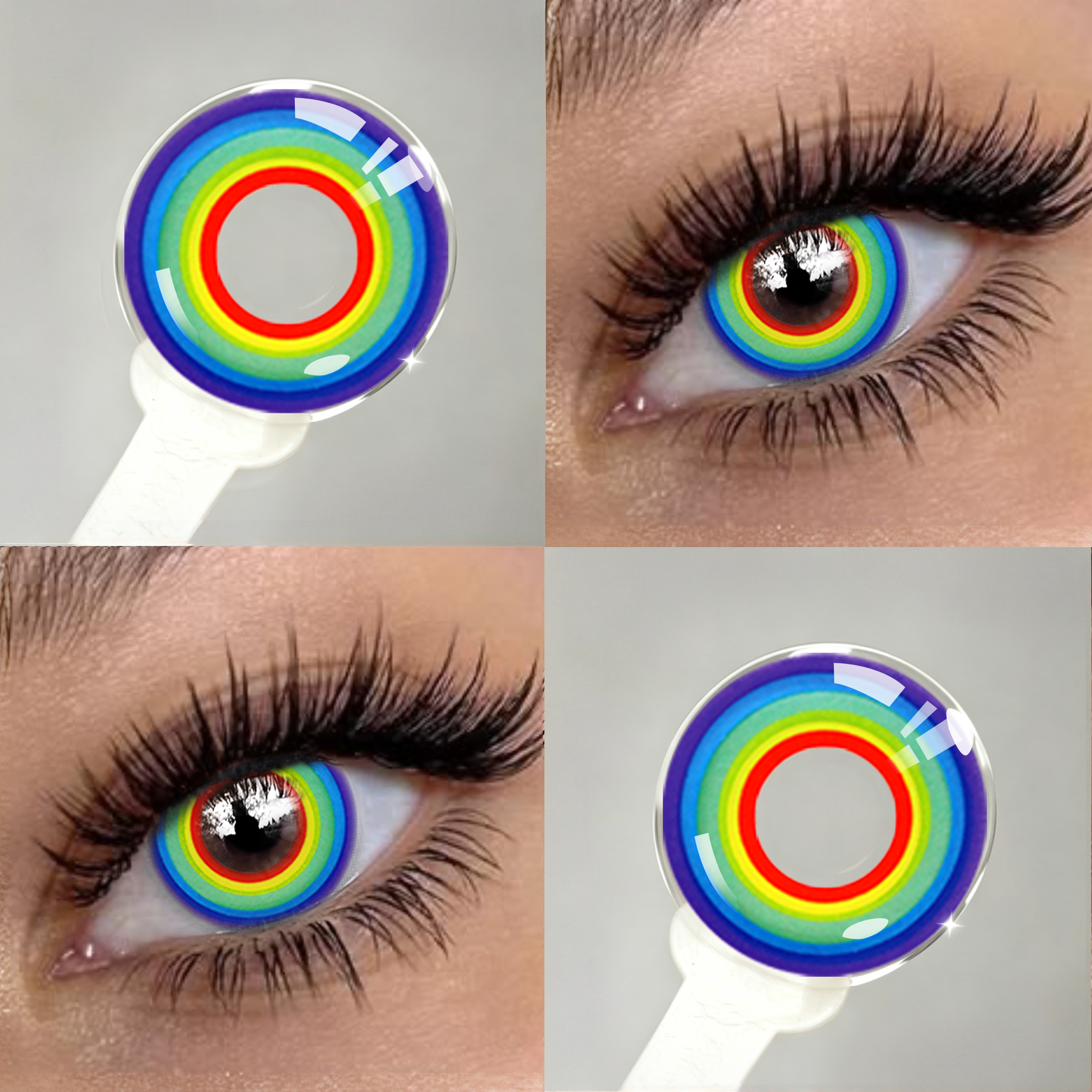 Prism Rainbow | 1 Year
