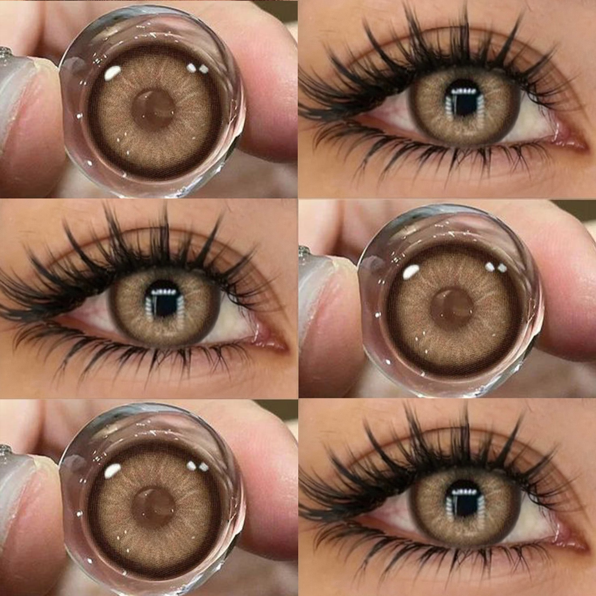 Terra Focus Brown | 6 Months