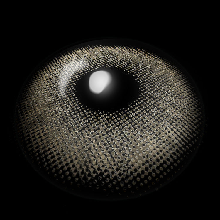 نيويورك جراي | سنة واحدة