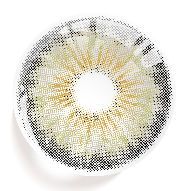 Dolphin Gray | 1 Year