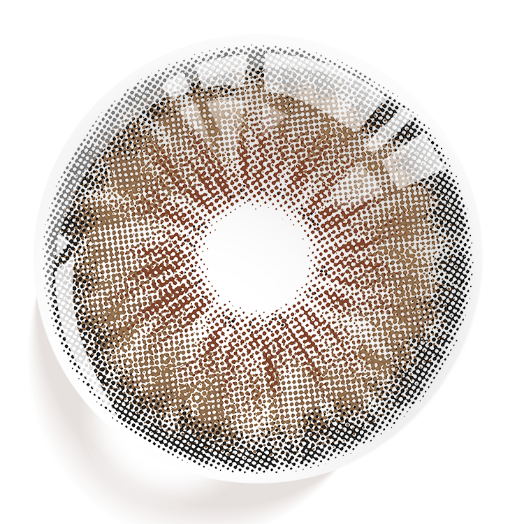 Dolphin Hazel | 1 Year