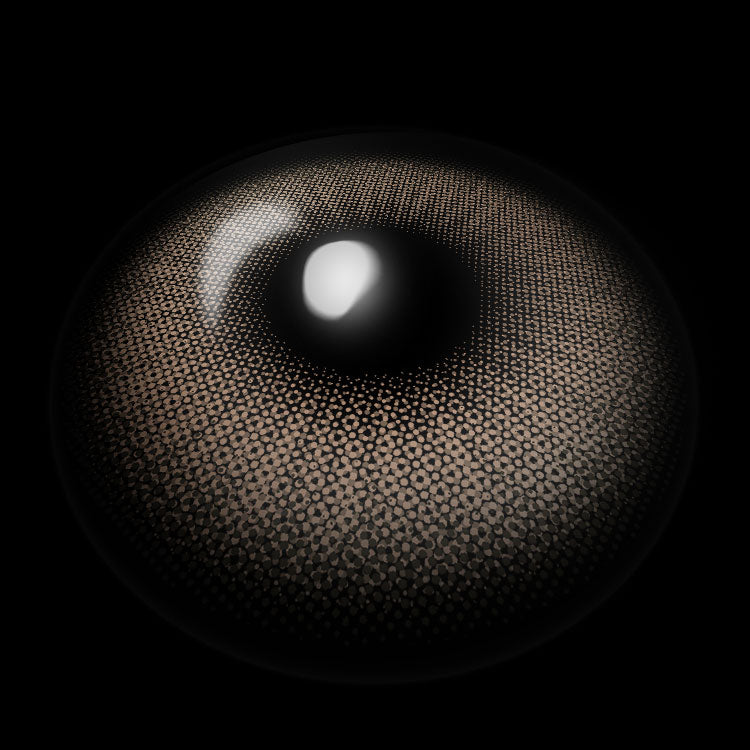 Flora Brown Colored Contact Lenses 3D Display