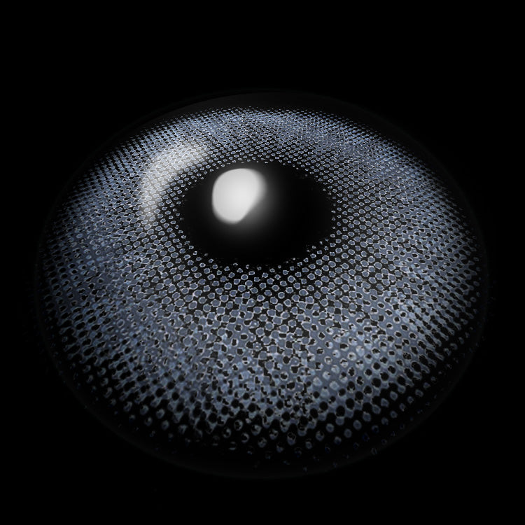 Seattle Blue | 1 Year