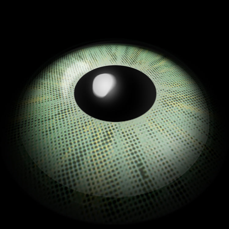 Ever Light Green Contact Lenses 3D Display