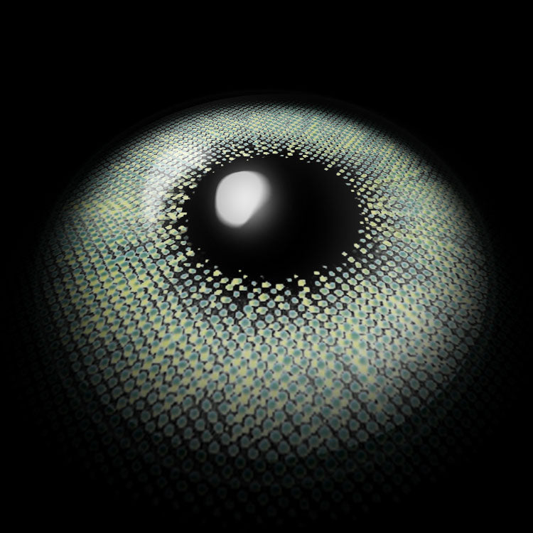 Sin Green Colored Contact Lenses 3D Display