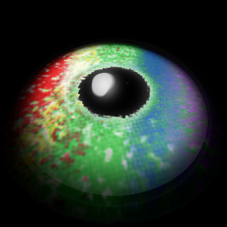 Prism Split | 1 Year