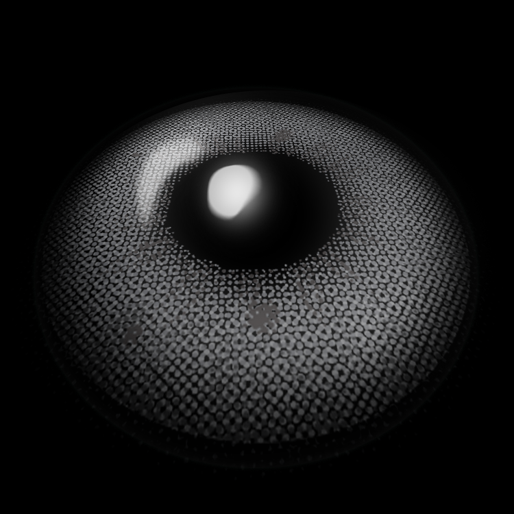 Aglaea Gray | 6 Months