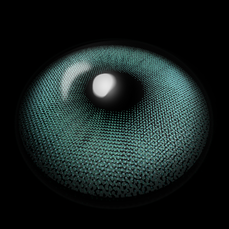 Emblematic Green | 6 Months