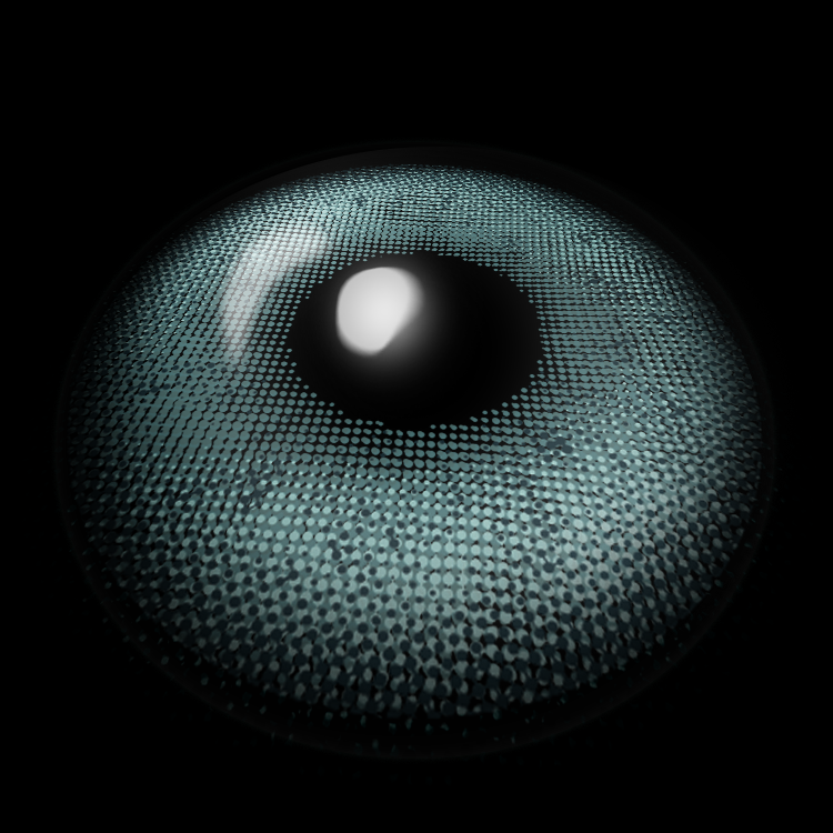 Encounter Blue | 6 Months