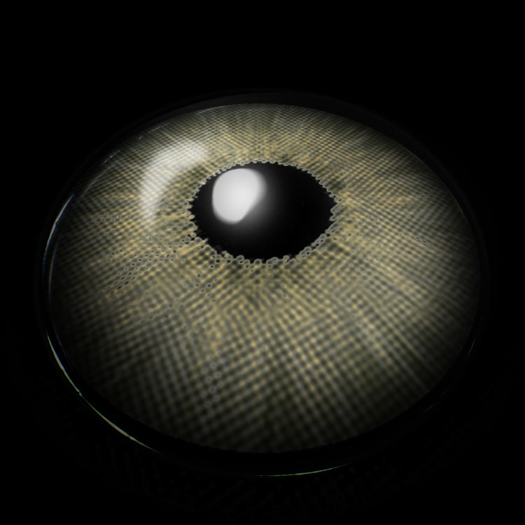 New York Green Colored Contact Lenses 3D Display