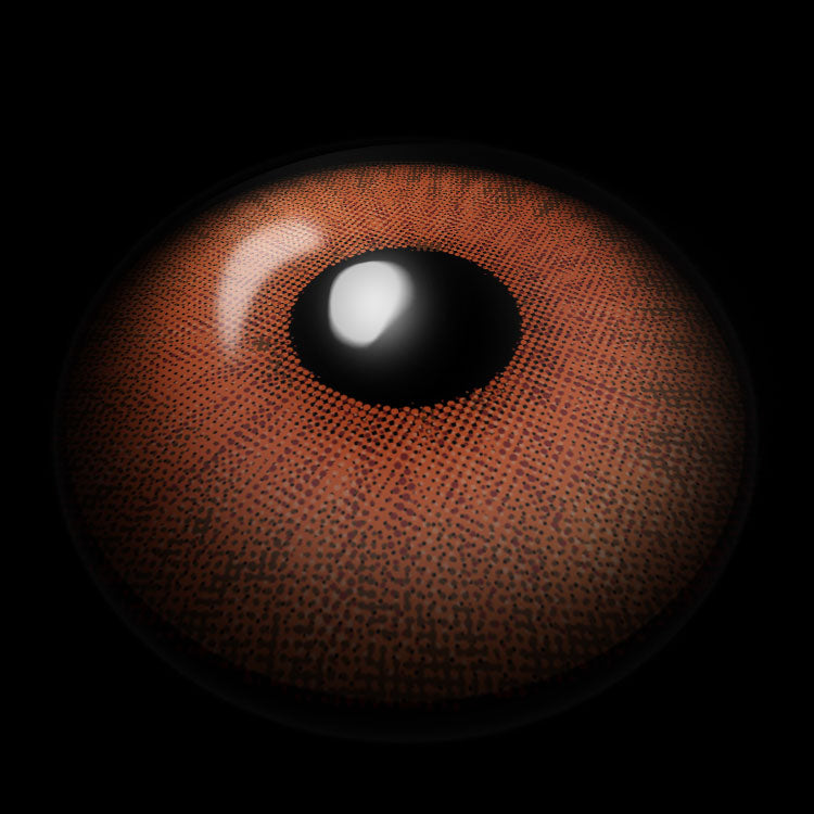 New York Hazel Brown Colored Contact Lenses 3D Display