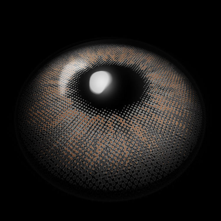 Sibir Brown Colored Contact Lenses 3D Display