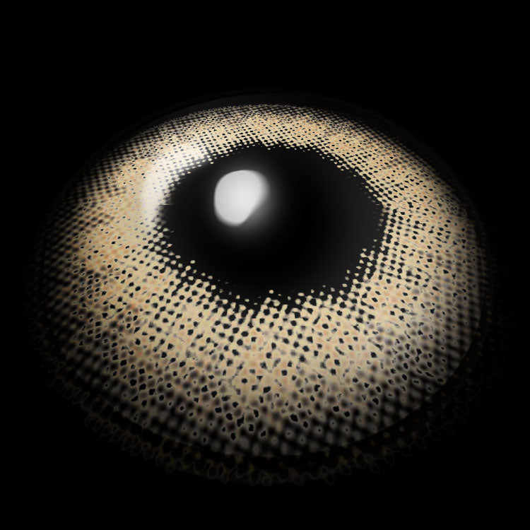 Jelly Brown Colored Contact Lenses 3D Display