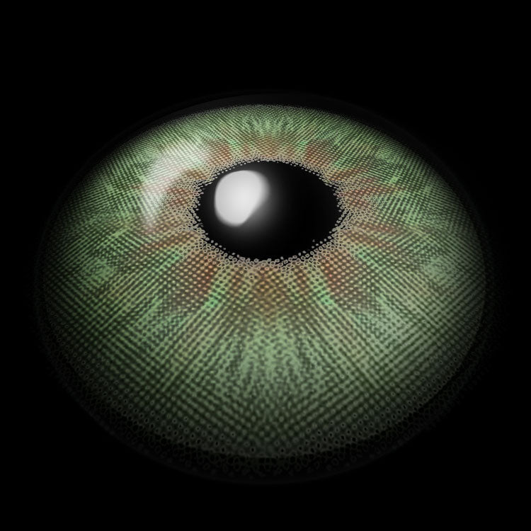 Fiesta Green Colored Contact Lenses 3D Display
