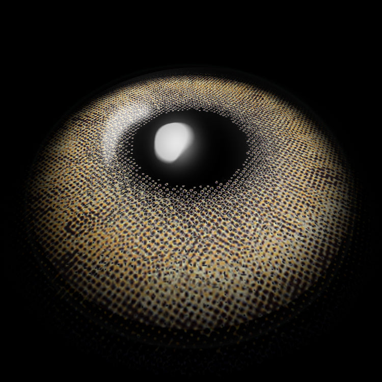 Cheetah Eyes Brown | 1 Year