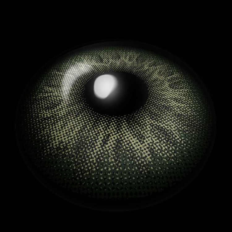 Norwegian Forest D-Green Contact Lenses 3D Display