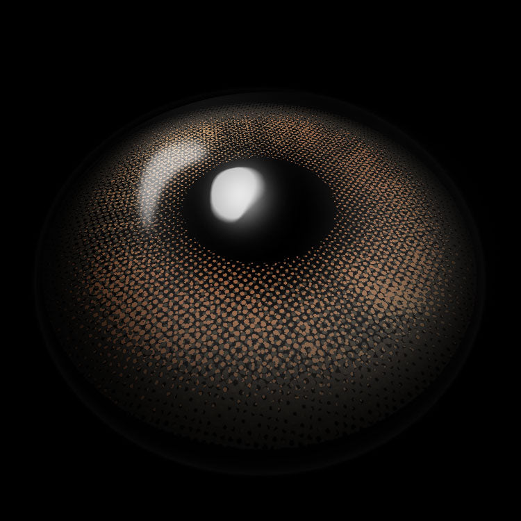 Donut D-Brown Colored Contact Lenses 3D Display
