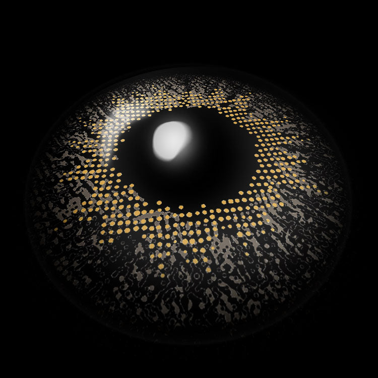 Mona Lisa Gray Colored Contact Lenses 3D Display