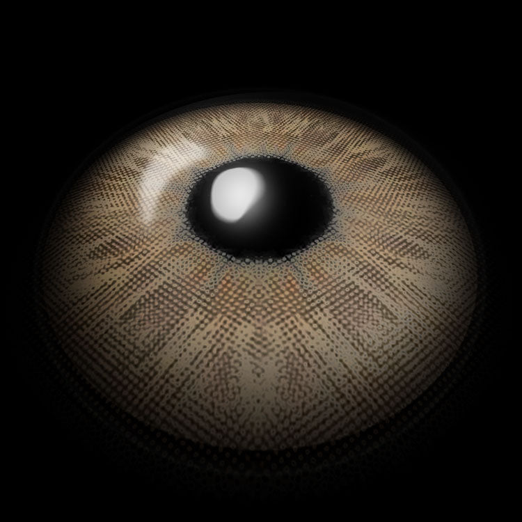 Fiesta Brown Colored Contact Lenses 3D Display