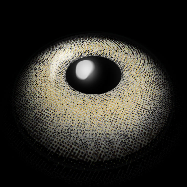 Wolf Shadow Gleam Gray | 1 Year