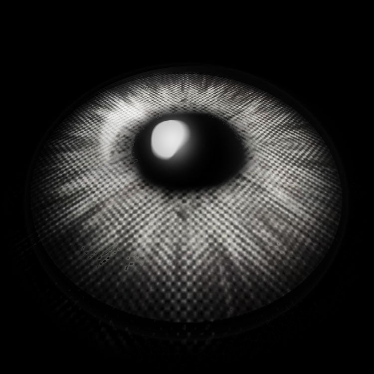 New York Gray Colored Contact Lenses 3D Display