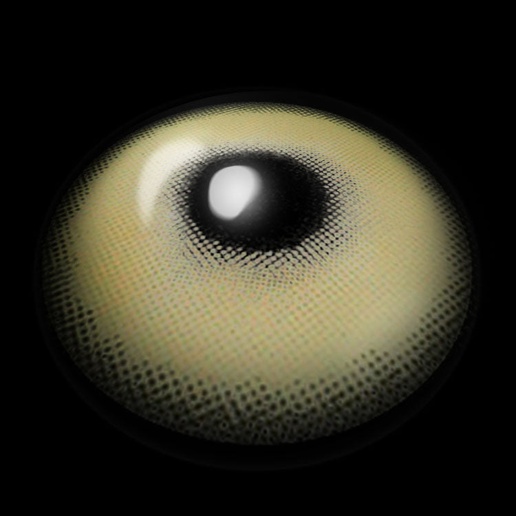 Silvana Green | 1 Year