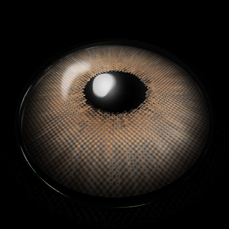 New York Brown Colored Contact Lenses 3D Display