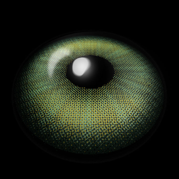 Swan Green Contact Lenses 3D Display