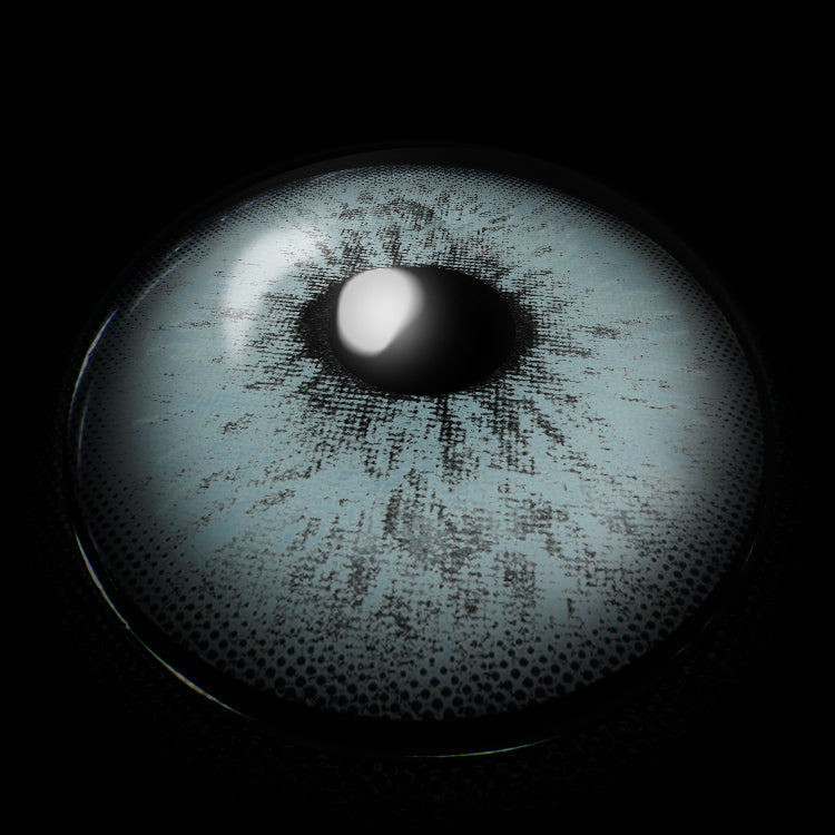 Fluffy Blue | 1 Year