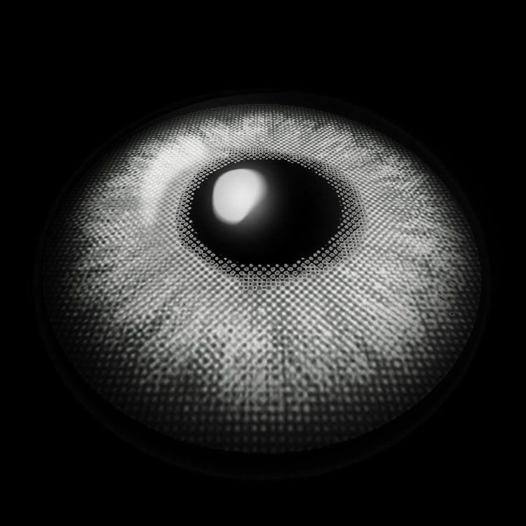 Apricity Gray Colored Contact Lenses 3D Display