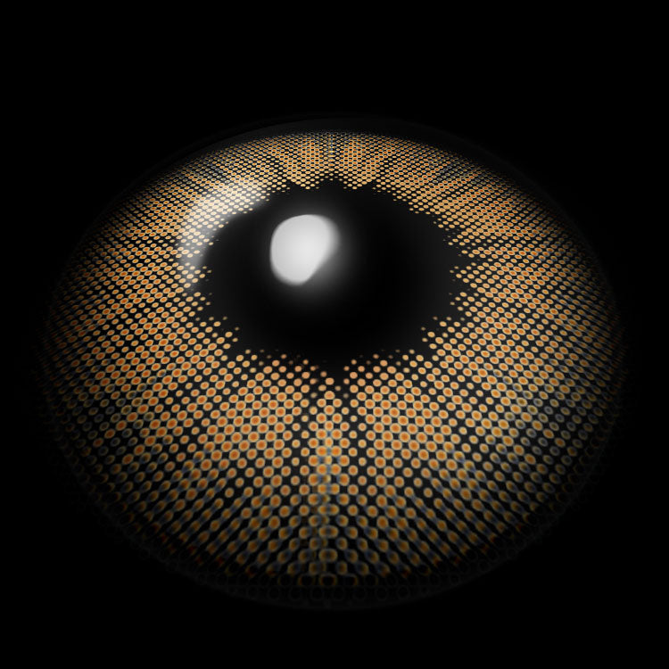 Marble Brown Colored Contact Lenses 3D Display