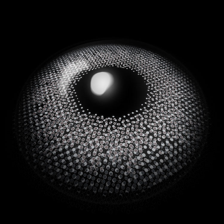 Moonbeam Gray Colored Contact Lenses 3D Display