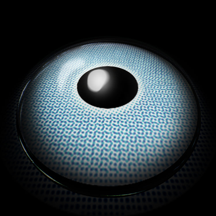 Madrid Blue | 6 Months