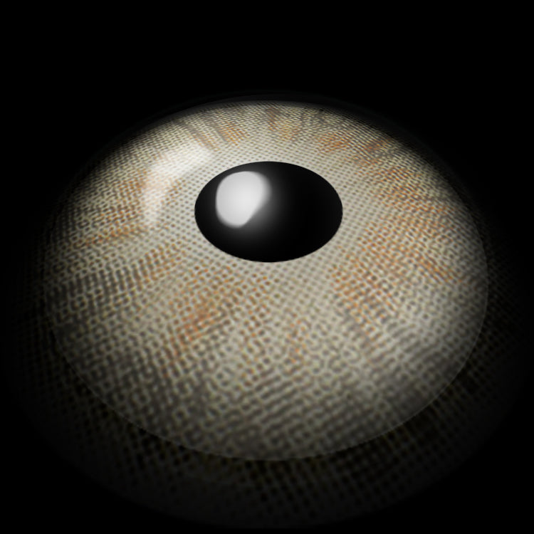 Ever Gray Contact Lenses 3D Display