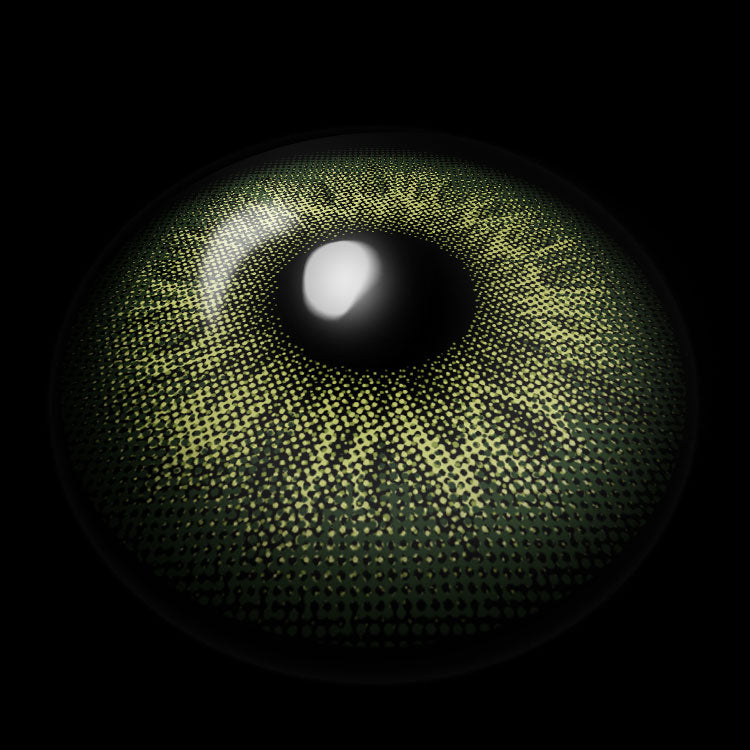 Norwegian Forest Green Contact Lenses 3D Display