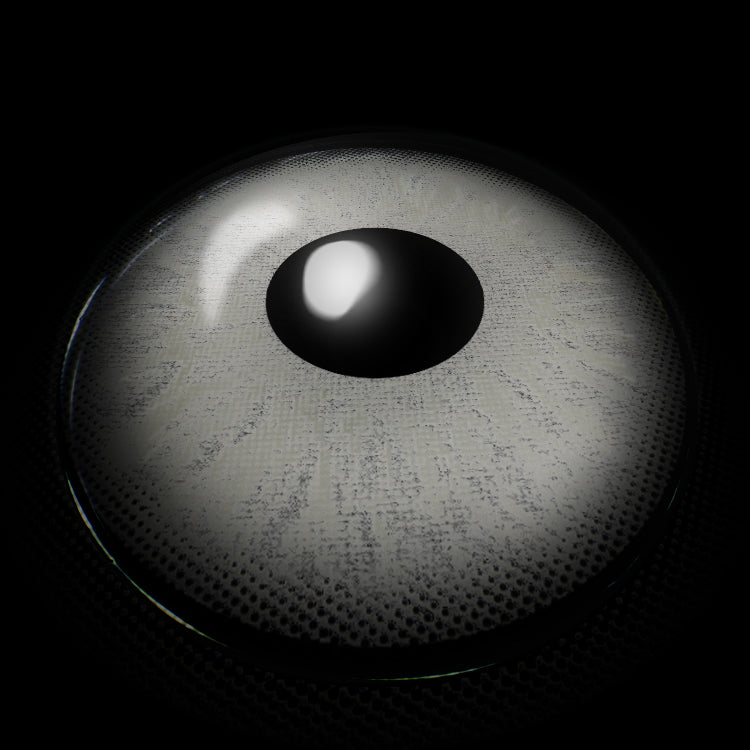 Fluffy Gray | 1 Year