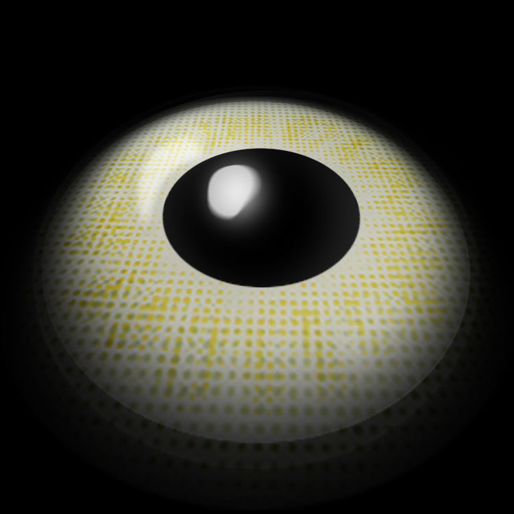 Amber Gray Contact Lenses 3D Display